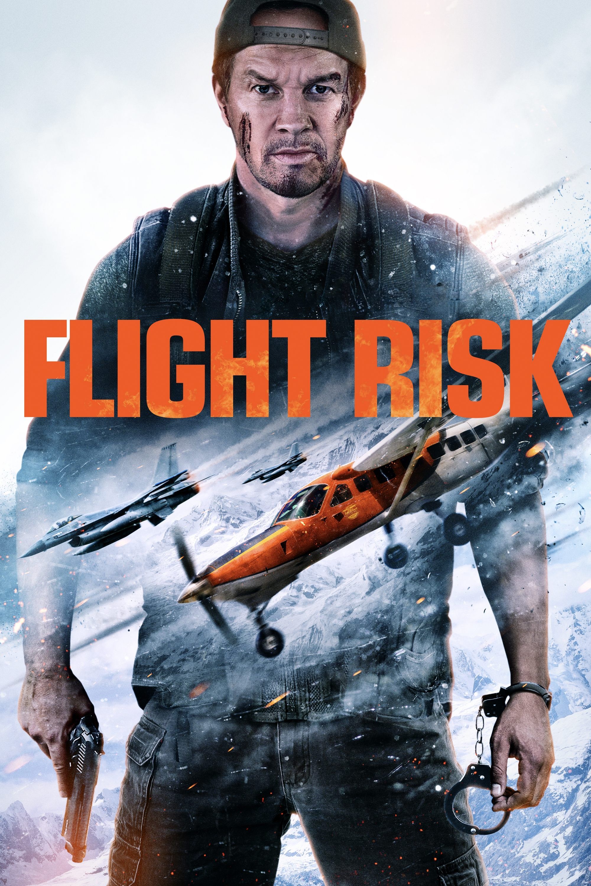 Poster Flight Risk